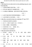 Đề kiểm tra học kì I lớp 8 môn tiếng Trung Quốc - Đề 1