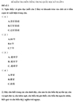 Đề kiểm tra học kì II lớp 8 môn tiếng Trung Quốc - Đề 2
