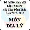 Đề thi học sinh giỏi lớp 12 THPT tỉnh Đồng Tháp môn Địa lý (năm học 2012 - 2013)