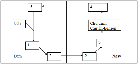 Đề thi Olympic Sinh học lớp 11