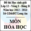 Đề thi học sinh giỏi tỉnh Long An lớp 12 vòng 1 năm 2012 - 2013 môn Hóa học (Bảng B)