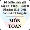 Đề thi học sinh giỏi tỉnh Long An lớp 12 vòng 1 năm 2012 - 2013 môn Toán (Bảng B)