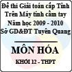 Đề thi giải toán trên Máy tính cầm tay cấp tỉnh Tuyên Quang môn Hóa học lớp 12 (2009 - 2010)