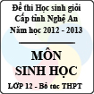 Đề thi học sinh giỏi tỉnh Nghệ An năm 2012 - 2013 môn Sinh học lớp 12 Bổ túc THPT (Có đáp án)