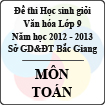 Đề thi học sinh giỏi Văn hóa lớp 9 tỉnh Bắc Giang năm học 2012 - 2013 môn Toán - Có đáp án
