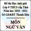 Đề thi học sinh giỏi lớp 9 THCS tỉnh Thanh Hóa năm học 2010 - 2011 môn Ngữ văn (Có đáp án)