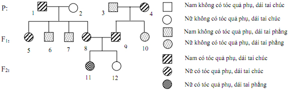 Đề thi học sinh giỏi lớp 12 THPT tỉnh Thanh Hóa năm học 2011 - 2012 môn Sinh học Đề thi học sinh giỏi lớp 12 THPT tỉnh Thanh Hóa năm học 2011 - 2012 môn Sinh học