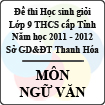 Đề thi học sinh giỏi lớp 9 THCS tỉnh Thanh Hóa năm học 2011 - 2012 môn Ngữ văn (Có đáp án)