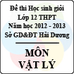 Đề thi học sinh giỏi lớp 12 THPT tỉnh Hải Dương năm học 2012 - 2013 môn Vật lý