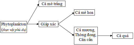 Đ&ecirc;̀ thi tuy&ecirc;̉n sinh lớp 10 THPT chuy&ecirc;n tỉnh Ph&uacute; Y&ecirc;n năm học 2012 - 2013 m&ocirc;n Sinh