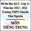 Đề thi học kỳ I lớp 11 THPT chuyên Thái Nguyên năm 2012 - 2013 môn Tiếng Trung (Có đáp án)