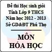 Đề thi học sinh giỏi lớp 9 THCS tỉnh Phú Thọ năm 2012 - 2013 môn Hóa học