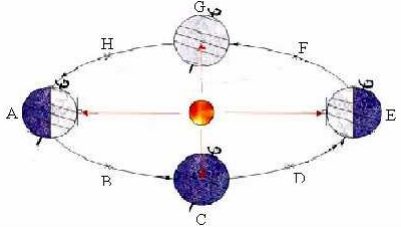 Đề thi học sinh giỏi lớp 9 THCS tỉnh Ninh Thuận năm 2012 - 2013 môn Địa lý