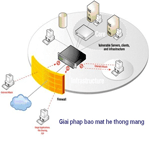 Bảo mật mạng - Các phương thức giả mạo địa chỉ IP (Fake IP)