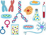 Phương pháp giải bài tập Liên kết gen và Hoán vị gen
