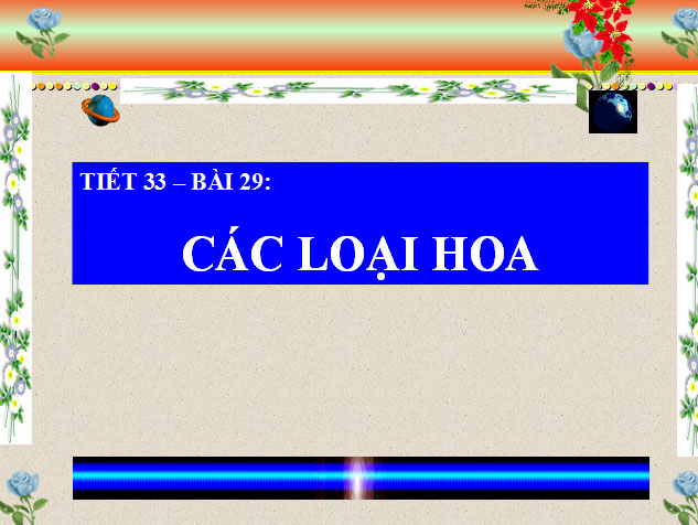 Các loại hoa Sinh học 6