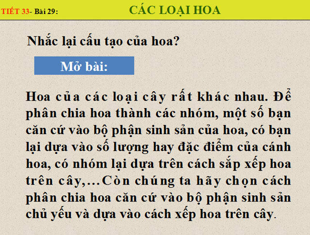 Bài giảng sinh học 6