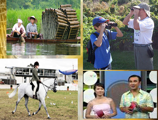 Bài giảng Tiếng Anh 11 unit 14 Bài giảng điện tử Tiếng anh11