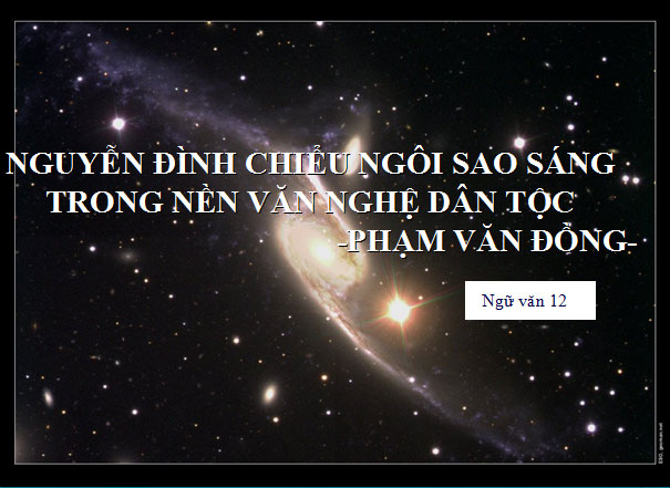 Nguyễn Đình Chiểu