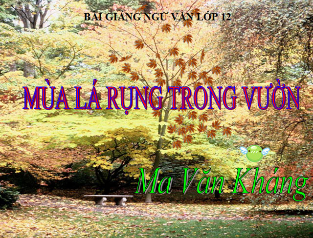 Mùa lá rụng trong vườn Ngữ văn 12 