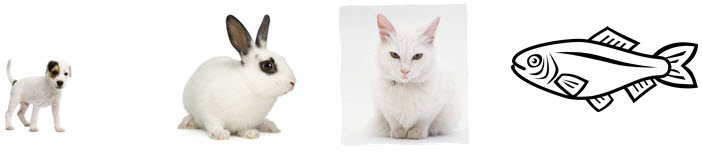 Đề kiểm tra học kì 2 môn Tiếng Anh lớp 3