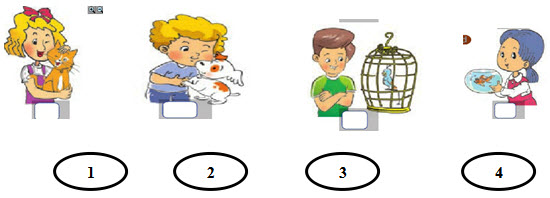 Đề kiểm tra học kì 2 môn Tiếng Anh lớp 3