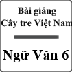 Bài giảng Cây tre Việt Nam Ngữ văn 6