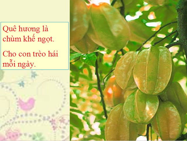  Quê hương Tế Hanh