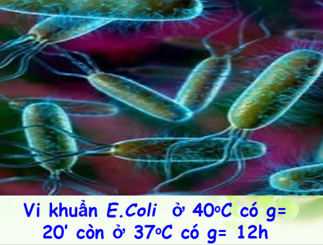 Sinh trưởng của vi sinh vật 