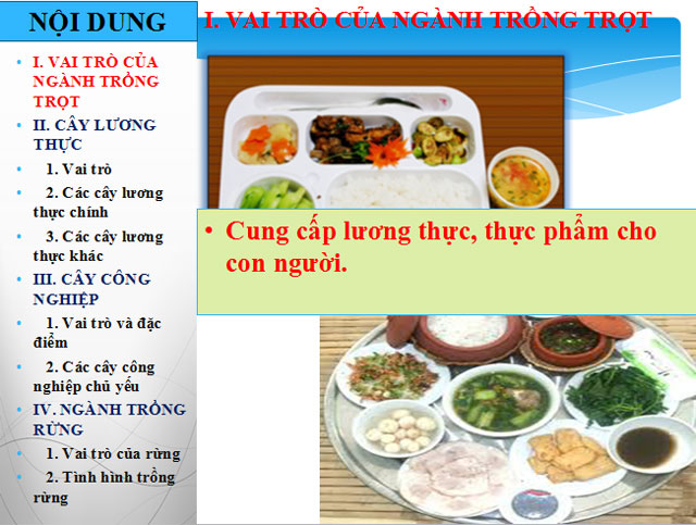 Địa lý ngành trồng trọt