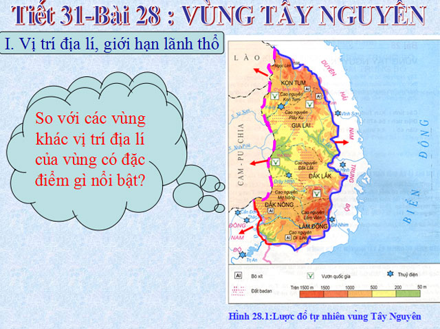 Bài giảng Vùng Tây Nguyên Địa lý 9 Bài giảng Địa lý 9