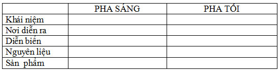 Giáo án Sinh bài Quang hợp ở các nhóm thực vật C3, C4 và CAM