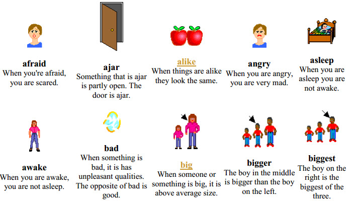 Từ điển Tiếng Anh bằng hình ảnh