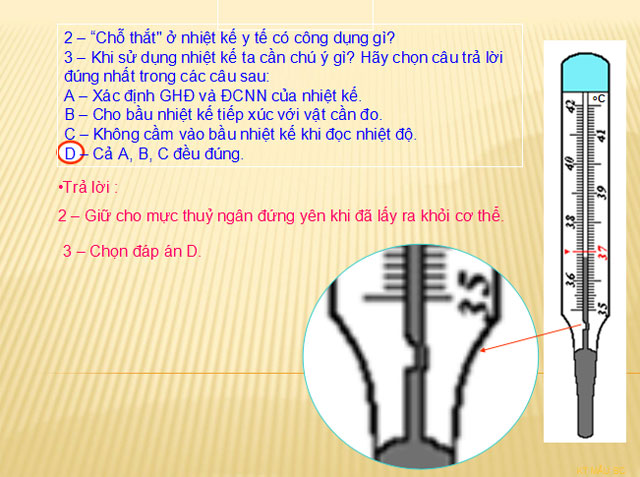 Bài giảng Vật lý 6 