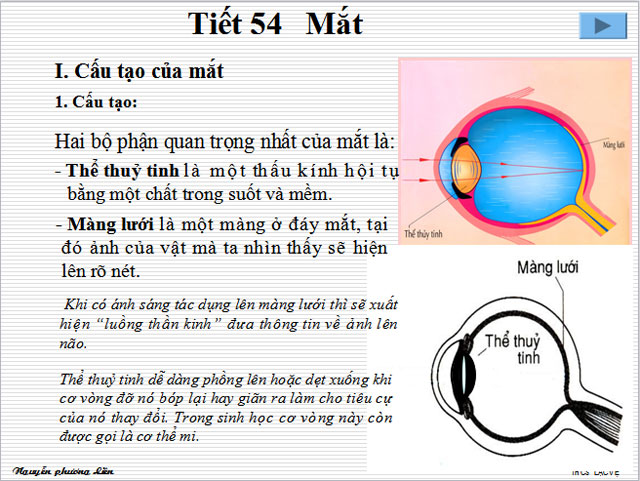 Bài giảng bài Mắt Vật lý 9 Bài giảng bài Mắt