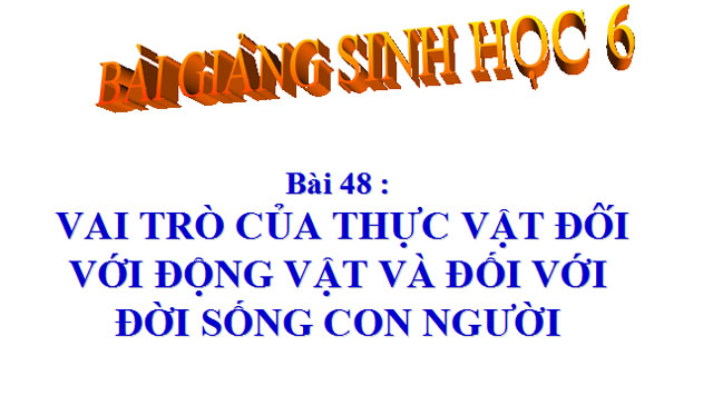 Bài giảng Sinh học 6 bài 48 Sinh học 6 bài 48