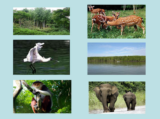 Bài giảng Địa lý 8 bài 38 Địa lý 8 bài 38