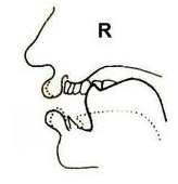 Phân biệt cách phát âm giữa giọng Anh - Anh và Anh - Mỹ Sự khác nhau giữa giọng Anh Anh và Anh Mỹ