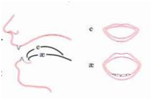 Phân biệt cách phát âm giữa giọng Anh - Anh và Anh - Mỹ Sự khác nhau giữa giọng Anh Anh và Anh Mỹ