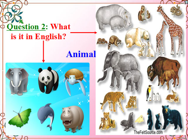 Tiếng Anh 10 unit 11