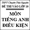 Đề thi vào lớp 10 môn Tiếng Anh (Điều kiện) năm học 2015-2016 trường THPT Chuyên Thái Nguyên