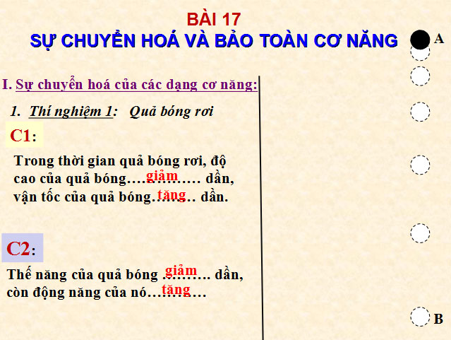  Sự chuyển hóa và bảo toàn cơ năng