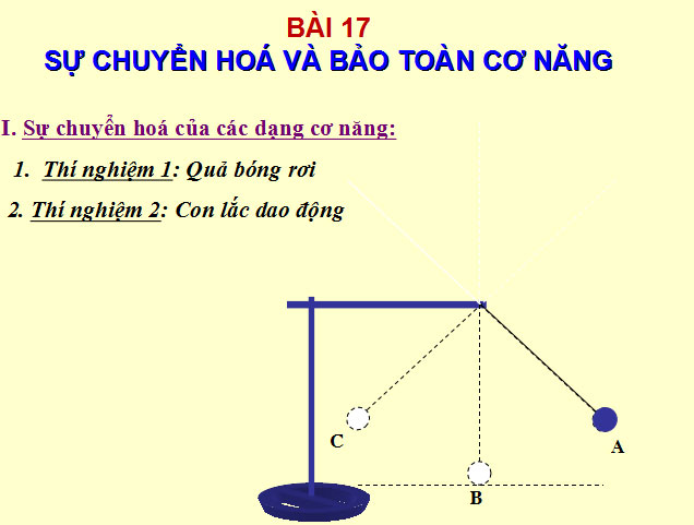 Sự chuyển hóa và bảo toàn cơ năng
