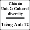 Giáo án Tiếng Anh 12 Unit 2: Cultural diversity