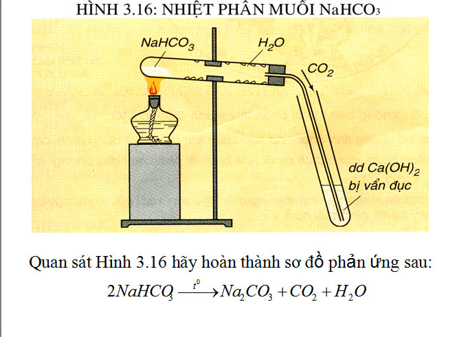Bài giảng Hóa học 9 Axit cacbonic và muối cacbonat