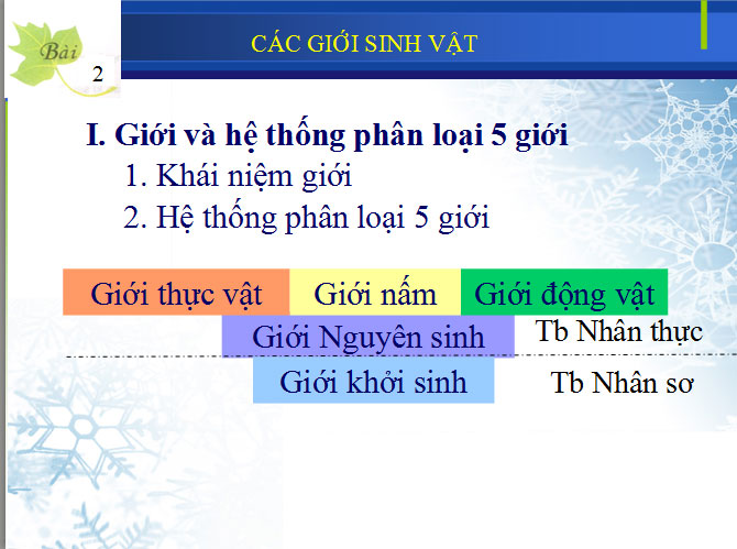 Giới và hệ thống phân loại