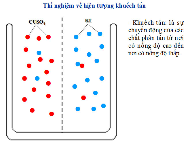 Thí nghiệm vận chuyển Thí nghiệm vận chuyển