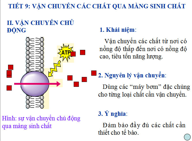 Khái niệm vận chuyển Khái niệm vận chuyển