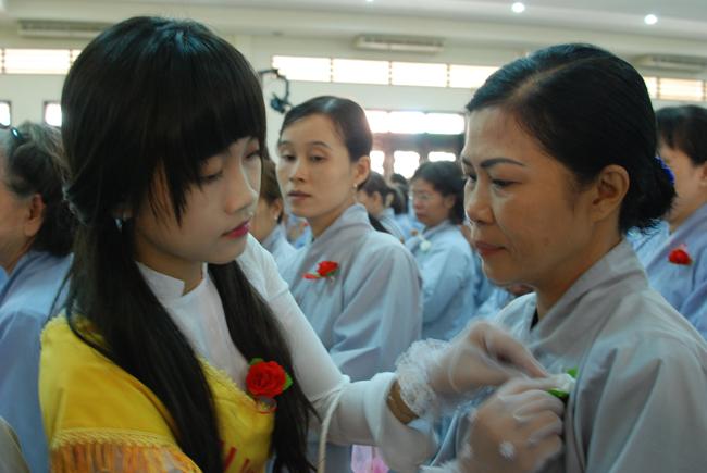 Ý nghĩa bông hoa cài trên ngực áo