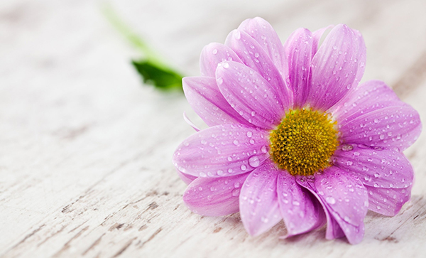 từ vựng Tiếng Anh